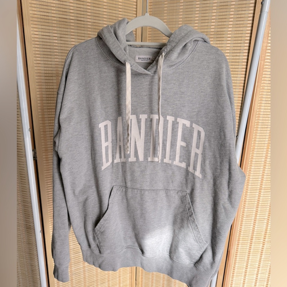 Bandier Logo Hoodie in Gray